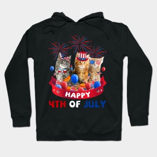 Three Cat Happy 4th Of July American Cat Lover Independence Day Hoodie